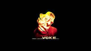 Voke & DJ Coldie - Intro 93Fu (2010)