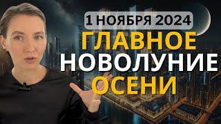 Новолуние 1 ноября 2024: Что нас ждет в период Скорпиона?