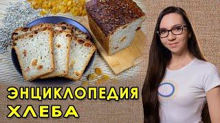 Регина Кутимская - как печь домашний бездрожжевой хлеб на закваске. Подробное бесплатное руководство