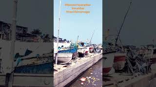 Beautiful Koliwada   Mumbai fishing village