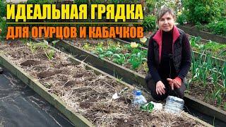 СУПЕР УРОЖАЙНАЯ ГРЯДКА ДЛЯ ОГУРЦОВ И КАБАЧКОВ ИЗ МУСОРА!