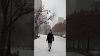 ️ First Snow Fall In New York | Manhattan #snowfall #snowday