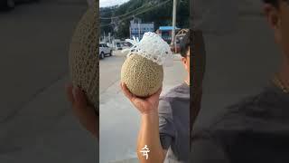 메론배달일기