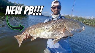 HUGE REDFISH! Florida Inshore Fishing Tampa Bay