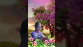 Charitha  vlogs