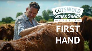 Simple Herbal Ley with Angus Gowthorpe  - Cotswold Seeds First Hand