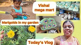 Vlog of the day || Went to Vishal️ Mart ​@Keziahgomes0719