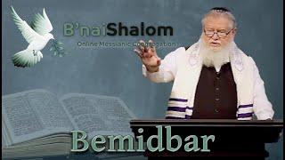Bemidbar: In Wilderness | Erev Shabbat 2025
