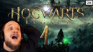 Lets Play Hogwarts Legacy (Deutsch) [2K] [Blind] #01 - Carsten Potter in Hogwarts