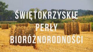 Pojezierze Świętokrzyskie? Pierwsze słyszę