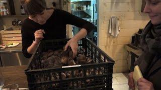 Montreal mushrooms make the local economy go round