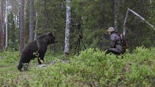 Meeting a bear in the forest