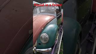 VW Beetle 1959 found forgotten in Forest Sweden VW Festival#beetle #vw #car #classic #Shorts #VWFarm