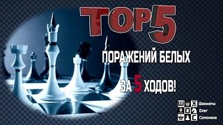 Топ-5 поражений белых за пять ходов. Мастера и гроссмейстеры проигрывают в пять ходов в шахматы.