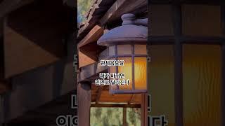 관세음보살 내가 바뀌면 인연도 달라진다 불교신자채널과 함께 매일 기도하세요