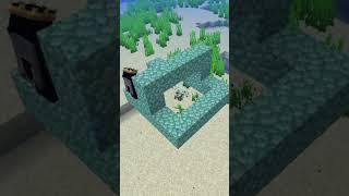 Minecraftın Gizli Eşyası (BUNU BİLMİYORSUN) #minecraft