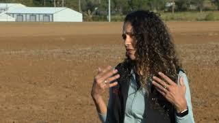 How Dry is it for Wheat Planting?