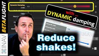 REDUCE Shaky Flight with Dynamic Damping‍