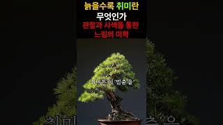 관찰과 사색을 통한 느림의 미학 6편#노년취미 #인문학 #삶의지혜 #노년생활 #취미생활 #마음치유 #자기성찰 #느림의미학 #삶의리듬 #존재의의미 #상실극복 #감각적행위 #삶과죽음