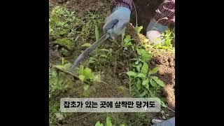 두즐스 텃밭 잡초제거 호미
