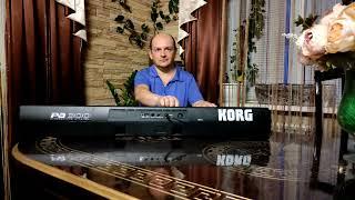 красивая мелодия на  korg pa-300