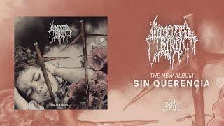 IMMORTAL BIRD - Sin Querencia (Full Album) 20 Buck Spin