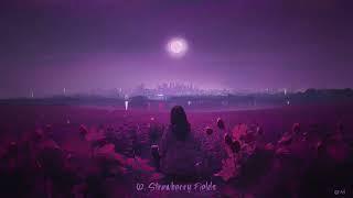 Neonvibes 17 - Under The Moonlight Lofi Album