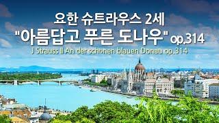 요한 슈트라우스 2세 아름답고 푸른 도나우 op.314 | J Strauss II An der schönen blauen Donau op.314 | 뉴욕 필하모닉