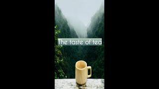 welcome to tea world | oolong tea #shorts #rjp #teaworldindia