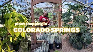 Plant Shopping in Colorado Springs ️🪴