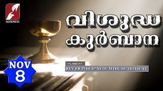 HOLY MASS LIVE @ 6 AM, 8 NOV 2024|FR PHILIP NEDUMTHURUTHIL VC|MALAYALAM QURBANA|TODAY MASS|GOODNESS