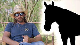 My Horse Died...