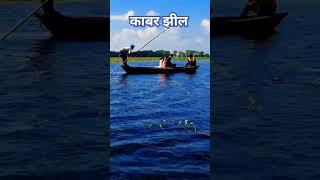 kawar jheel begusarai bihar!!kawar jheel begusarai! #begusari #kabarterkini #shorts