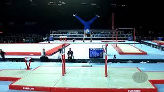 BELYAVSKIY David (RUS) - 2017 Artistic Worlds, Montréal (CAN) - Qualifications Parallel Bars