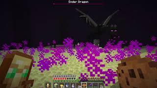 Defeating the Enderdragon with a Cookie