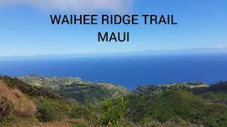 Amazing ocean views hiking in the West Maui Mountains along the Waihee Ridge Trail!