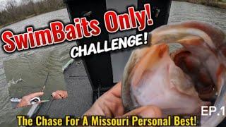 "SwimBaits ONLY!" The Chase For A New MO/IL Personal Best Largemouth Bass Begins!"