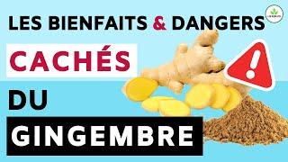 GINGEMBRE: SES DANGERS ET BIENFAITS POUR LA SANTE (ALIMENT MIRACLE )