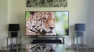 65 inch LG OLED C7 TV - Different picture modes