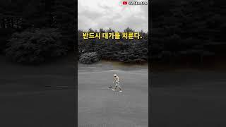 골프에 대한 열정 #골프동기부여영상 #이상인골프연구소 #동기부여 #동기부여영상 #golf #골프 #골프레슨 #골프스윙