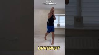 Basics of Boxing - Training for beginners at Home #boxing #boxingtraining #boxingbasics