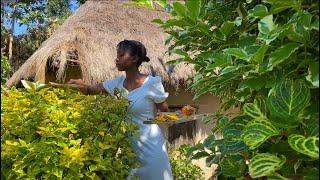 Life in the Kenyan Countryside  | Chores| Quickest Pumpkin soup recipe | Propagation 