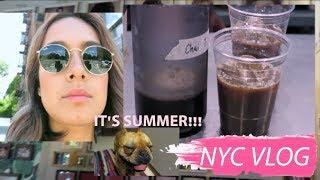 CUTE french bulldog and The Best Chai Latte EVER!!! | annabeldaza