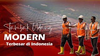 Menteri Trenggono Tinjau Kesiapan #Tambak #Udang #Modern Terbesar di Indonesia