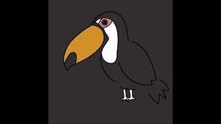 왕부리새 ( #toucan ) 친구 그리기 #shorts