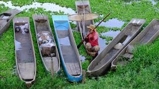 The Loktak Lake of Manipur and its Floating Phumdis