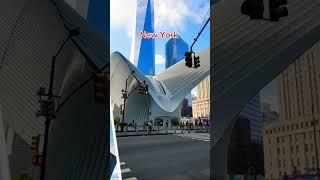 Faces of New York #newyork #nyc #travel #tranding #newyorkvibes