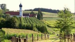 Hopfen aus der Hallertau - für die besten Biere der Welt