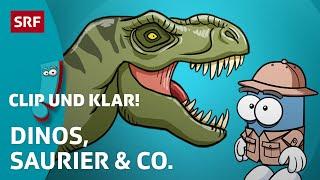 Clip und klar! – Was du über Dinosaurier wissen musst  | SRF Kids – Kindervideos