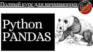 Python PANDAS - Полный Курс для Начинающих.